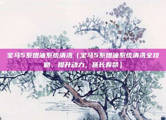 宝马5系燃油系统清洗（宝马5系燃油系统清洗全攻略，提升动力，延长寿命）