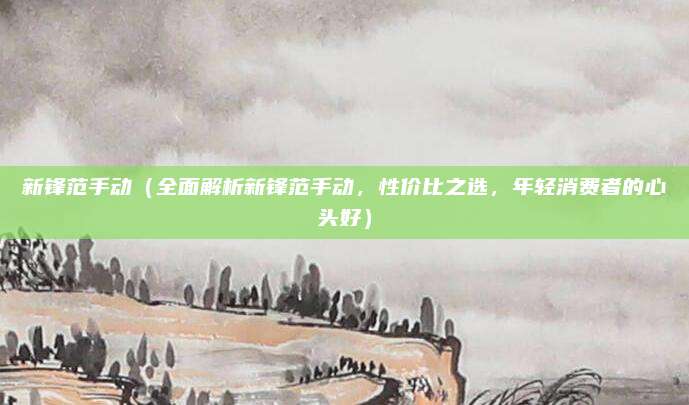 新锋范手动(全面解析新锋范手动,性价比之选,年轻消费者的心头好)