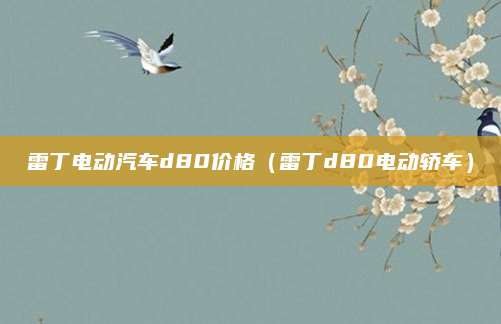 雷丁电动汽车d80价格(雷丁d80电动轿车)