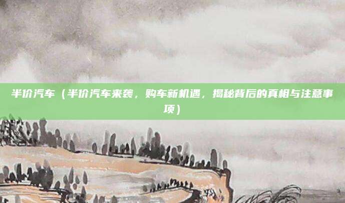 半价汽车(半价汽车来袭,购车新机遇,揭秘背后的真相与注意事项)