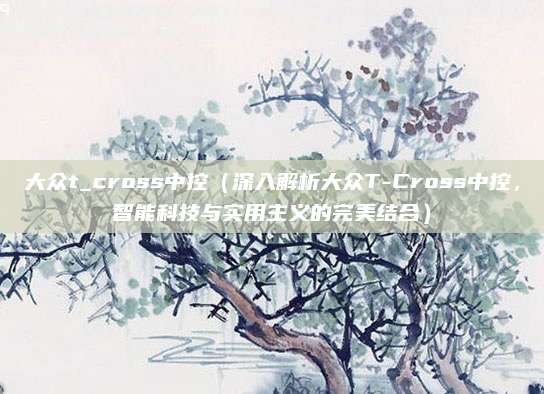 大众t_cross中控(深入解析大众T-Cross中控,智能科技与实用主义的完美结合)