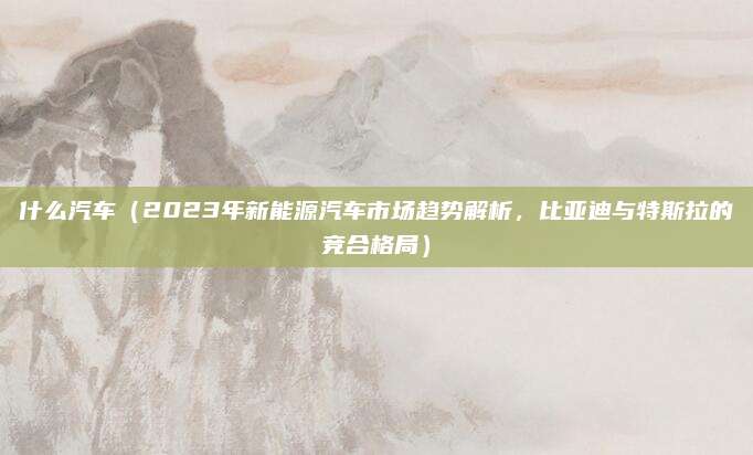 什么汽车(2023年新能源汽车市场趋势解析,比亚迪与特斯拉的竞合格局)