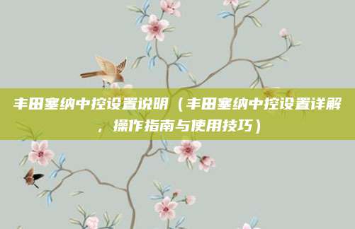 丰田塞纳中控设置说明(丰田塞纳中控设置详解,操作指南与使用技巧)