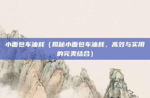 小面包车油耗(揭秘小面包车油耗,高效与实用的完美结合)