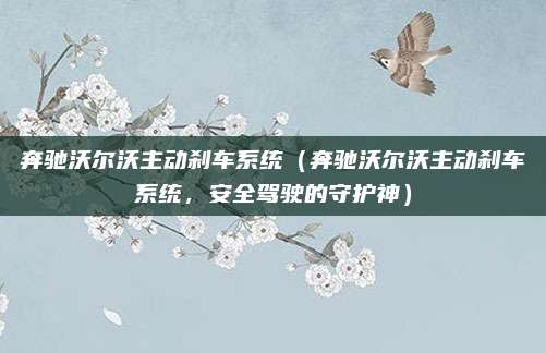 奔驰沃尔沃主动刹车系统(奔驰沃尔沃主动刹车系统,安全驾驶的守护神)