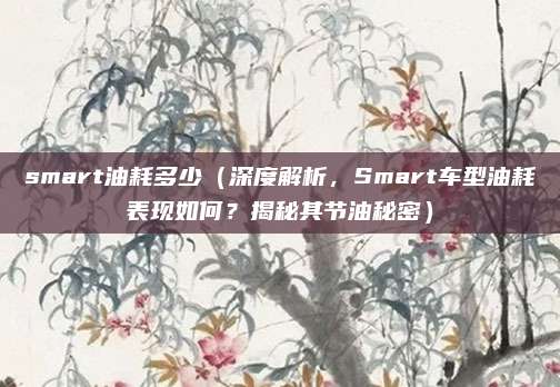smart油耗多少(深度解析,Smart车型油耗表现如何?揭秘其节油秘密)