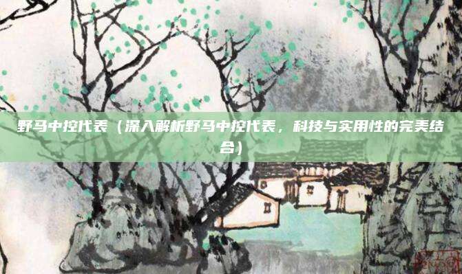 野马中控代表(深入解析野马中控代表,科技与实用性的完美结合)