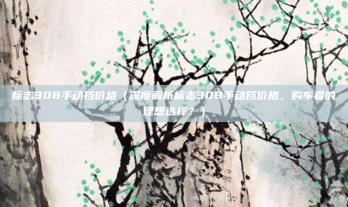 标志308手动挡价格（深度解析标志308手动挡价格，购车者的理想选择？）