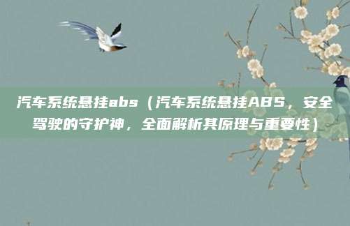汽车系统悬挂abs（汽车系统悬挂ABS，安全驾驶的守护神，全面解析其原理与重要性）