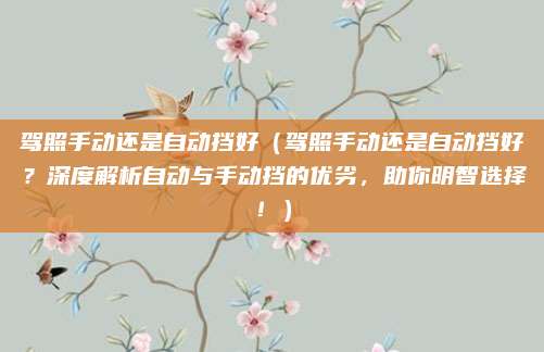 驾照手动还是自动挡好(驾照手动还是自动挡好?深度解析自动与手动挡的优劣,助你明智选择!)