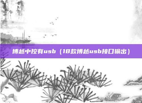 博越中控有usb(18款博越usb接口输出)