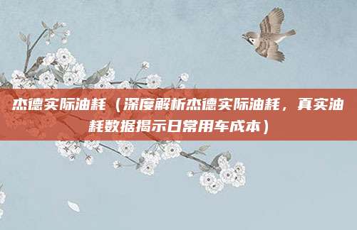 杰德实际油耗（深度解析杰德实际油耗，真实油耗数据揭示日常用车成本）