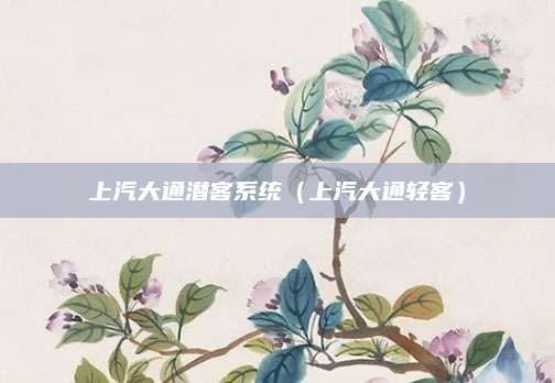上汽大通潜客系统(上汽大通轻客)