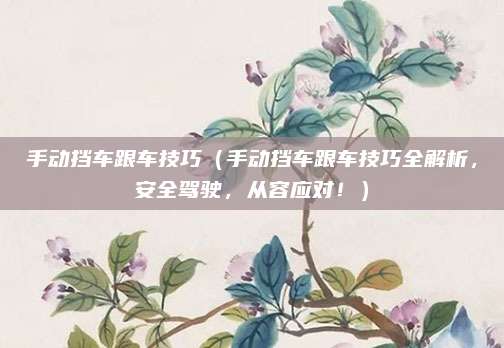 手动挡车跟车技巧(手动挡车跟车技巧全解析,安全驾驶,从容应对!)