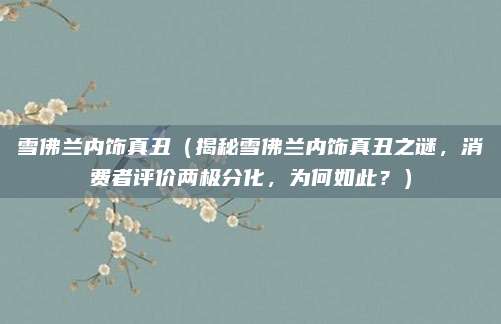 雪佛兰内饰真丑(揭秘雪佛兰内饰真丑之谜,消费者评价两极分化,为何如此?)