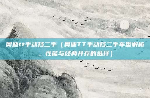 奥迪tt手动挡二手（奥迪TT手动挡二手车型解析，性能与经典并存的选择）