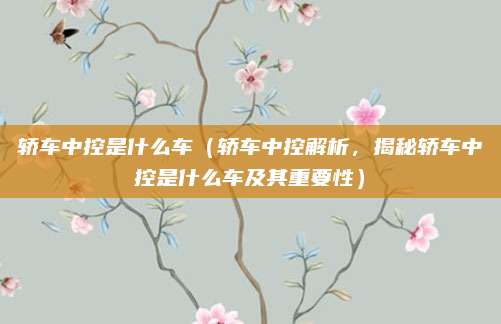 轿车中控是什么车（轿车中控解析，揭秘轿车中控是什么车及其重要性）