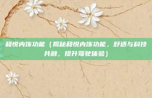 和悦内饰功能（揭秘和悦内饰功能，舒适与科技共融，提升驾驶体验）