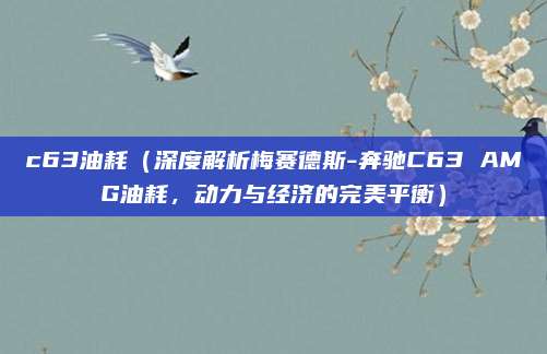 c63油耗(深度解析梅赛德斯-奔驰C63 AMG油耗,动力与经济的完美平衡)