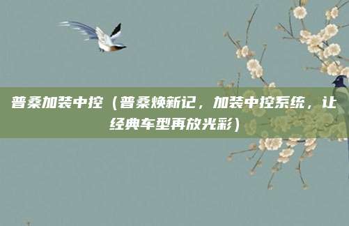 普桑加装中控(普桑焕新记,加装中控系统,让经典车型再放光彩)