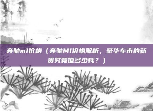 奔驰m1价格（奔驰M1价格解析，豪华车市的新贵究竟值多少钱？）