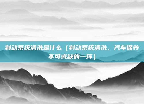 制动系统清洗是什么(制动系统清洗,汽车保养不可或缺的一环)