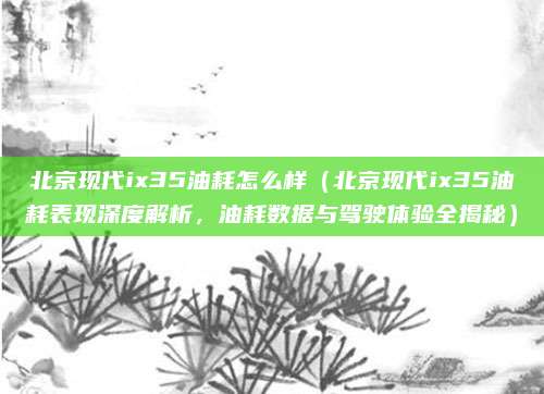 北京现代ix35油耗怎么样(北京现代ix35油耗表现深度解析,油耗数据与驾驶体验全揭秘)