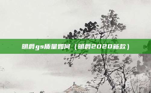 明爵gs质量如何(明爵2020新款)
