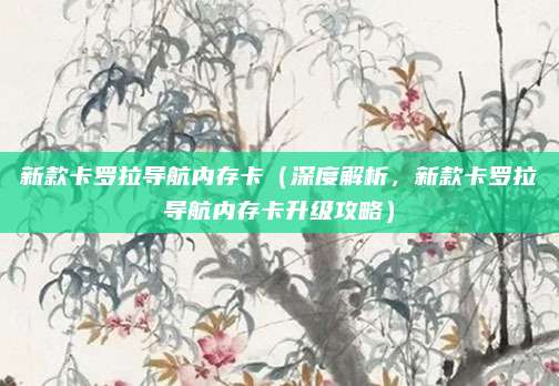 新款卡罗拉导航内存卡(深度解析,新款卡罗拉导航内存卡升级攻略)