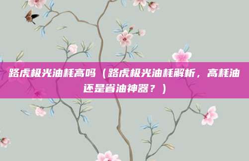 路虎极光油耗高吗（路虎极光油耗解析，高耗油还是省油神器？）