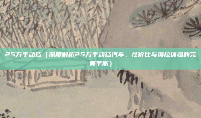 25万手动挡(深度解析25万手动挡汽车,性价比与操控体验的完美平衡)