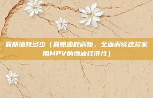 夏朗油耗多少（夏朗油耗解析，全面解读这款家用MPV的燃油经济性）