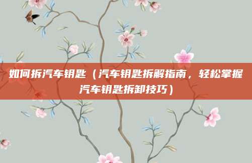 如何拆汽车钥匙（汽车钥匙拆解指南，轻松掌握汽车钥匙拆卸技巧）