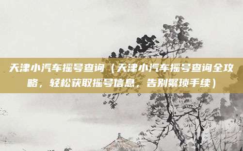 天津小汽车摇号查询（天津小汽车摇号查询全攻略，轻松获取摇号信息，告别繁琐手续）