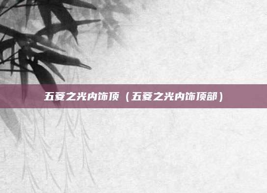 五菱之光内饰顶(五菱之光内饰顶部)