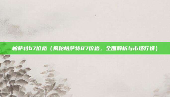 帕萨特b7价格（揭秘帕萨特B7价格，全面解析与市场行情）