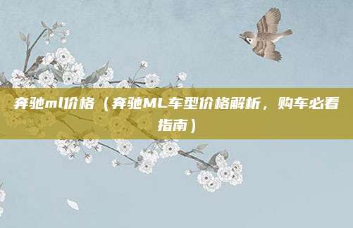 奔驰ml价格（奔驰ML车型价格解析，购车必看指南）