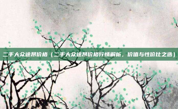 二手大众途昂价格（二手大众途昂价格行情解析，价值与性价比之选）