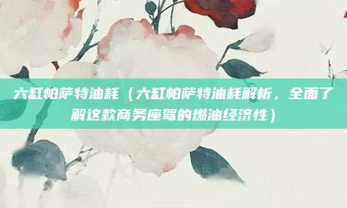 六缸帕萨特油耗（六缸帕萨特油耗解析，全面了解这款商务座驾的燃油经济性）
