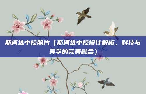 斯柯达中控照片（斯柯达中控设计解析，科技与美学的完美融合）