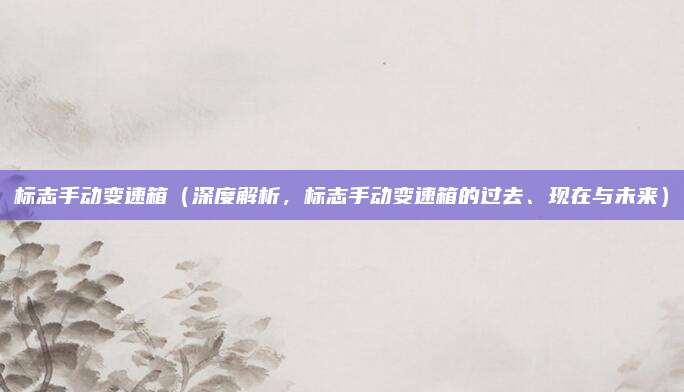 标志手动变速箱（深度解析，标志手动变速箱的过去、现在与未来）
