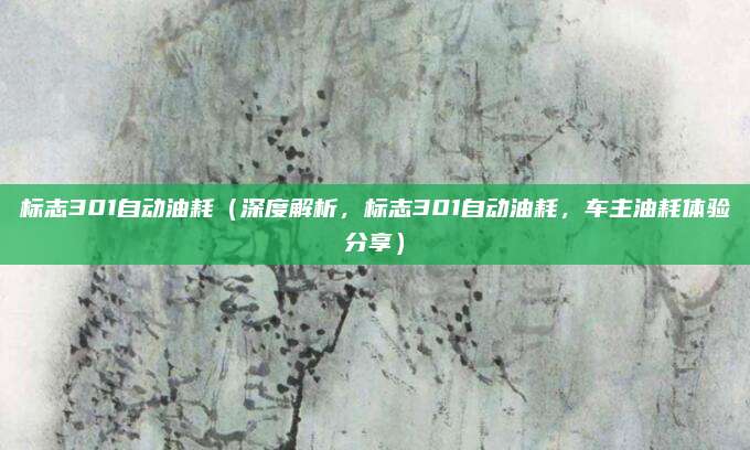 标志301自动油耗（深度解析，标志301自动油耗，车主油耗体验分享）