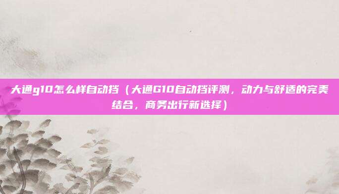 大通g10怎么样自动挡(大通G10自动挡评测,动力与舒适的完美结合,商务出行新选择)