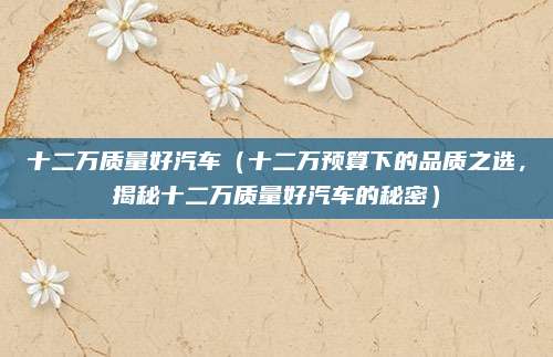十二万质量好汽车(十二万预算下的品质之选,揭秘十二万质量好汽车的秘密)