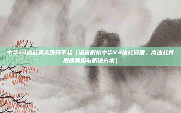 中华v3油耗真高呀开不起（深度解析中华V3油耗问题，高油耗背后的真相与解决方案）