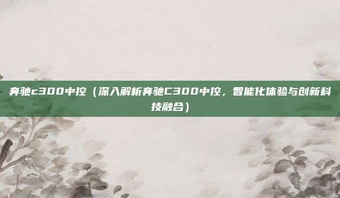 奔驰c300中控(深入解析奔驰C300中控,智能化体验与创新科技融合)