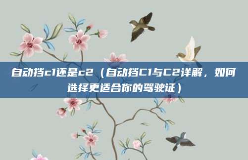自动挡c1还是c2(自动挡C1与C2详解,如何选择更适合你的驾驶证)