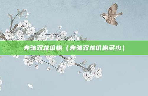 奔驰双龙价格(奔驰双龙价格多少)