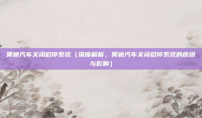 奥迪汽车关闭启停系统(深度解析,奥迪汽车关闭启停系统的原因与影响)