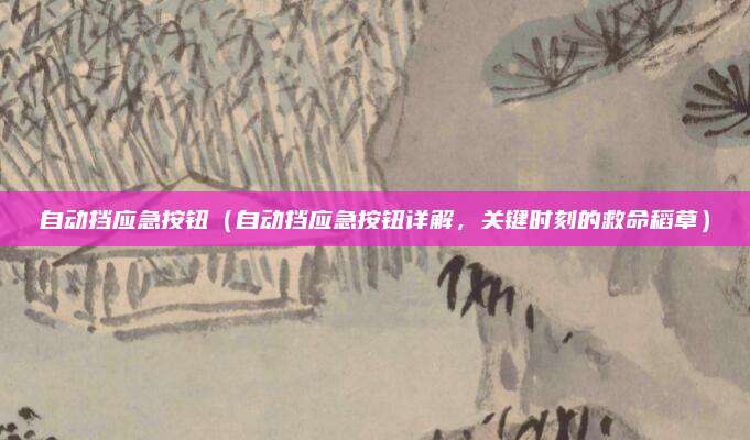 自动挡应急按钮(自动挡应急按钮详解,关键时刻的救命稻草)